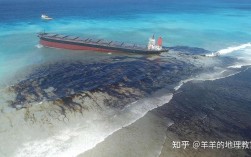 国际船舶漏油事件如何影响海洋生态？