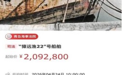 船舶拍卖信息哪里能查？