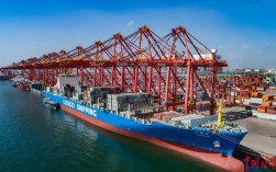 船舶远程签证下载怎么操作？