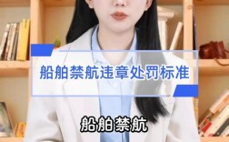 船舶跨航区处罚，依据与标准是什么？