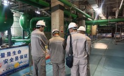 船舶监理到底有没有？