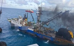 大洋造船为何濒临倒闭？