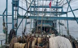 进口船舶物件网，船舶物件进口怎么选？