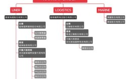 船舶公司的组织