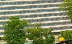 南沙造船厂医院有何特殊功能或服务？