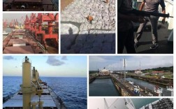 远东租赁船舶如何布局？