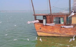 江南造船林鸥照片有何故事？