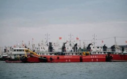 船舶白天悬挂w旗