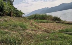 西江造船厂为何选址肇庆？