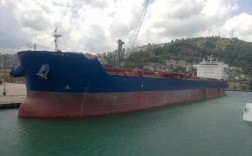 卡尔萨姆型船舶有何独特优势？