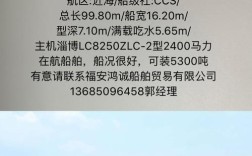 散货船船舶参数主要包含哪些关键指标？