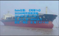 哪6艘船舶被拍卖？