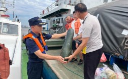 高温如何影响船舶驾驶安全？