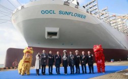 大连中远川崎新造船项目有哪些核心技术突破与行业影响力？