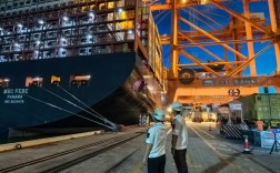 集装箱船上业务做什么