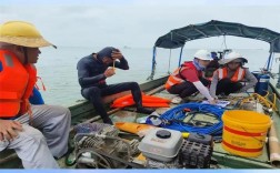 船舶水下检验标准具体有哪些要求？