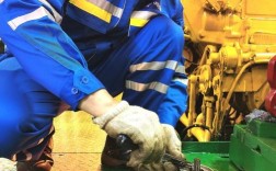 船舶维修新技术有哪些突破？