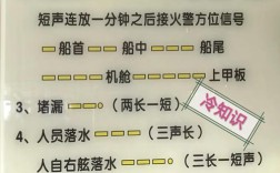 轮船编码有何规则与意义？