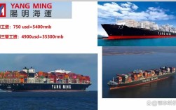 阳明船舶计划具体内容是什么？