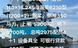 中国船舶杨吟华是谁？有何成就？