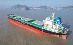 中国远洋海运散运造船，为何加速布局？