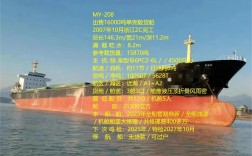 散货船型号有哪些常见分类及特点？