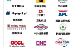 中国船舶公司有何独特优势与挑战？