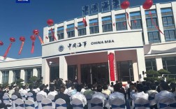 海南船舶检官网怎么查信息？