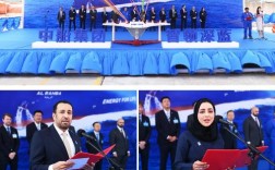 江南造船林欧简历有何亮点或经历？