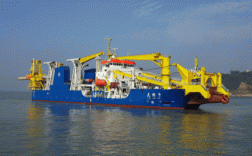 大型船舶如何影响海洋生态？