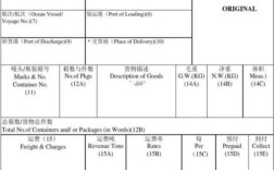 最新船舶订单信息