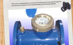 散货船压载水表怎么查