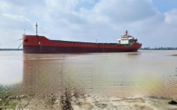 青岛润泰祥船舶有何业务优势？