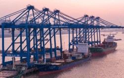 中远国际船舶贸易业务有何新动向？