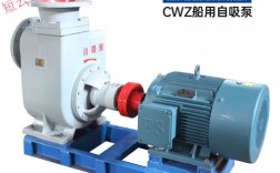 压载泵通常是什么泵