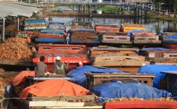 印尼旗船舶出口，为何增长如此迅速？