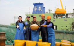 中国船舶采购人