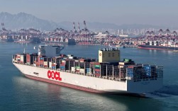 山东船舶交易所做什么的？