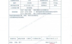 船舶中间检验由谁负责？