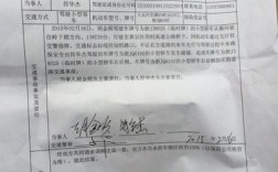 船舶主次责任理赔，责任比例如何定？