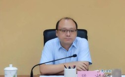 马尾造船厂陈冰是谁？