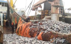 船舶类型捕捞是什么意思