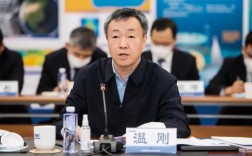 中船舶总经理是谁？或，中船舶总经理现状如何？