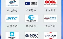 国际轮船总公司有何动向或新业务？