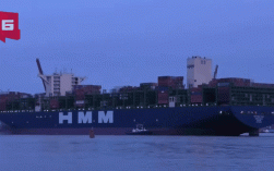 上海港船舶动态最新情况如何？