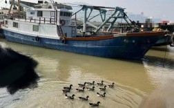 武汉船舶交易网是做什么的？