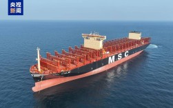 CSM船舶具体有哪些类型？