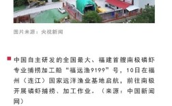 船舶配套行业最新动态有哪些值得关注？