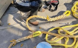 一根船舶缆绳大概多少钱