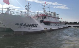 那种船舶赚钱快